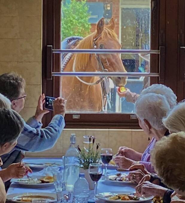 Even though they aren't allowed inside, horses are still a drawcard for patrons of the Captains Flat Pub. Picture by Tim the Yowie Man