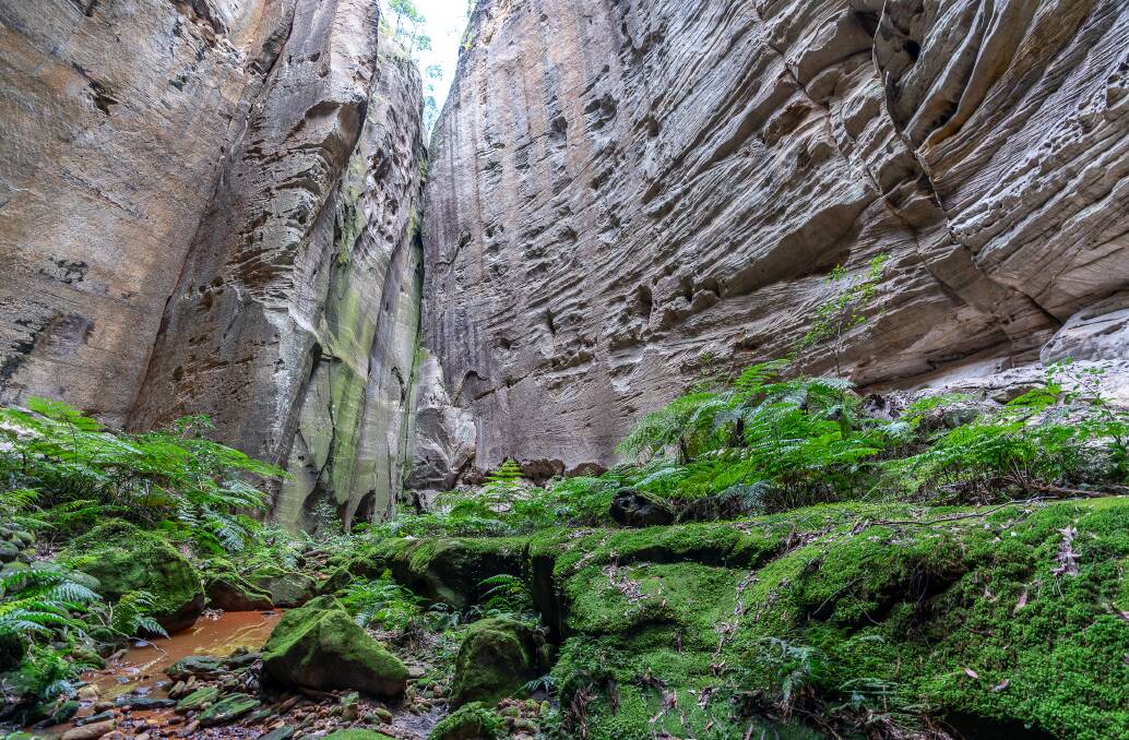 The Amphitheatre is a 60-metre-high open-topped cavern within one of the sandstone ridges. Pictures: Michael Turtle
