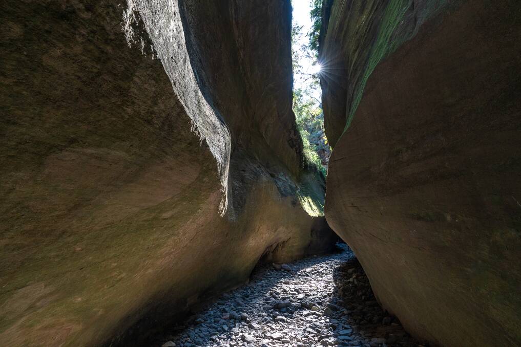 The narrow slot canyon at Boowinda Gorge.
