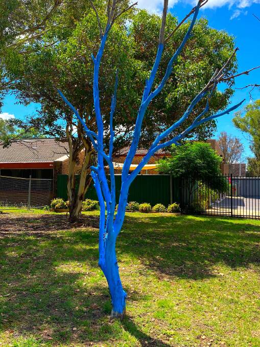 Recognise this blue tree? Picture: Greg Shaw