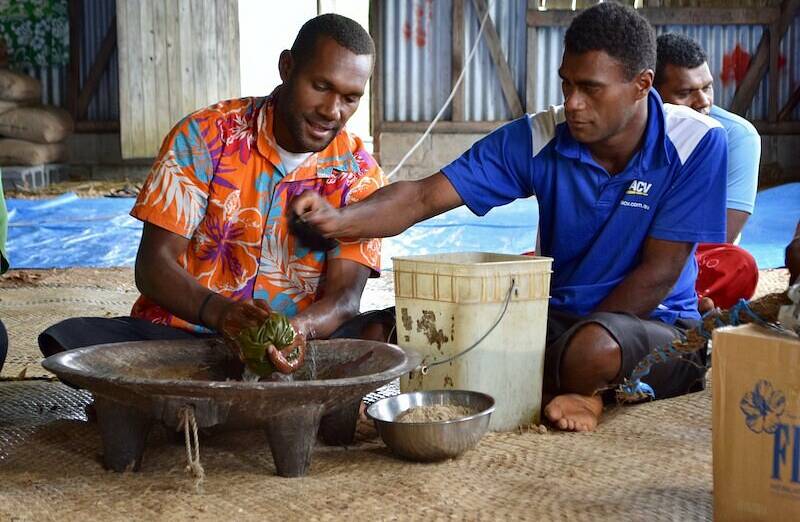 Guides preparing kava to welcome guests to the village. Picture by Elliot Wright