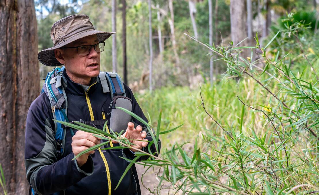 Simon Ling from Carnarvon Gorge Eco Tours highlights the site's diversity.
