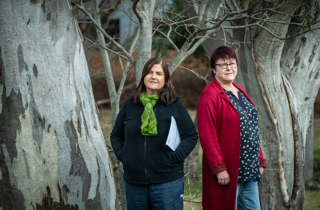 After their exposure to the ACT coronial system, Ann Finlay, left, and Janine Haskins have become fierce advocates for reform. Picture by Karleen Minney