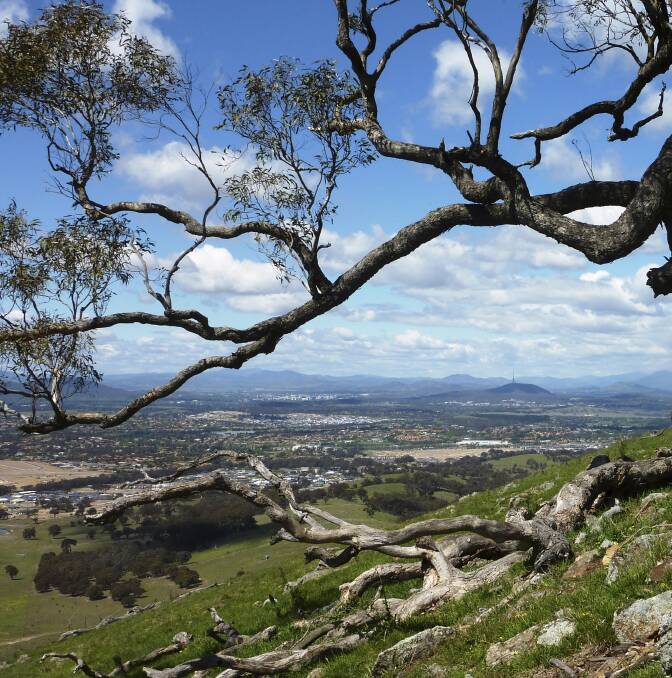 The view from One Tree Hill over Gungahlin and towards the city. Picture: Tim the Yowie Man