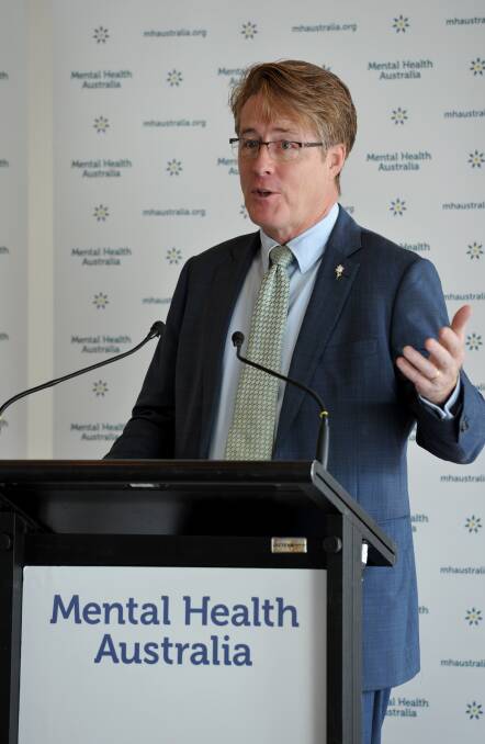 Mental Health Australia chief executive officer Frank Quinlan says its dispute with the government could be solved by the minister "at the stroke of a pen". Picture: Supplied