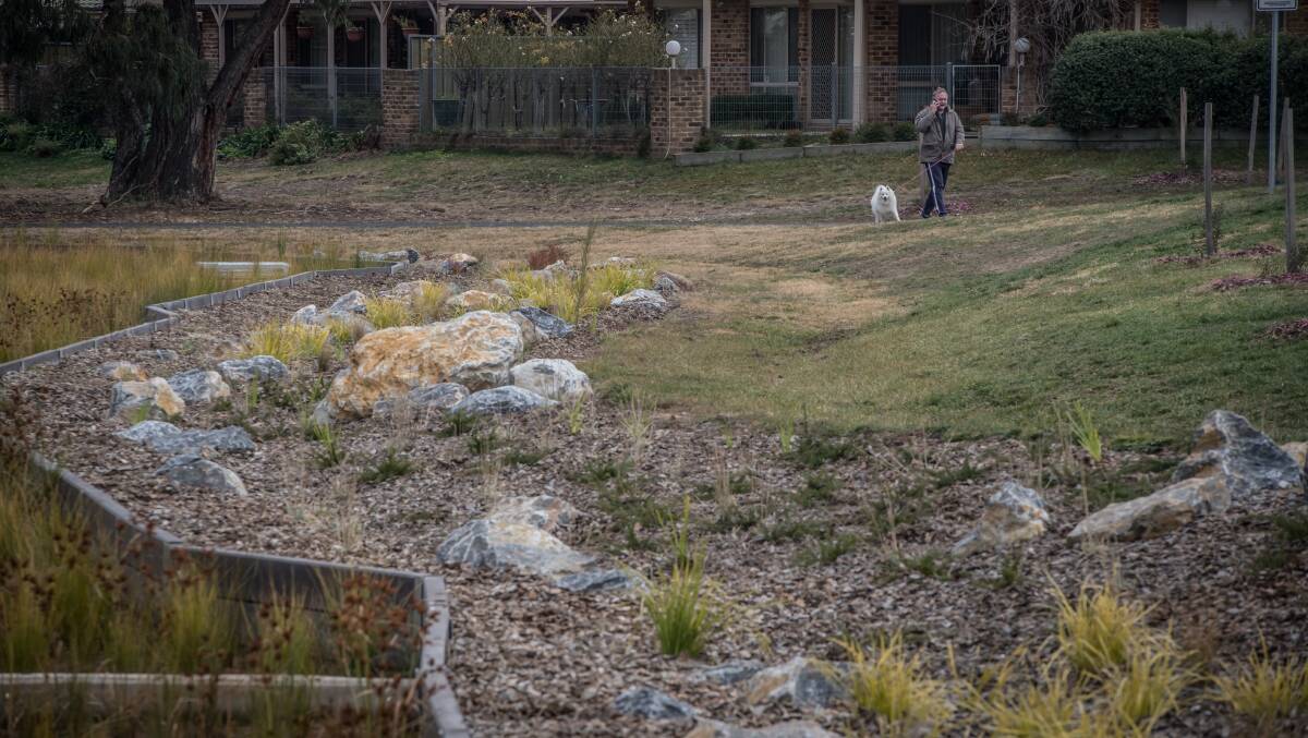 The new rain garden at Isabella Plains. Picture: Karleen Minney