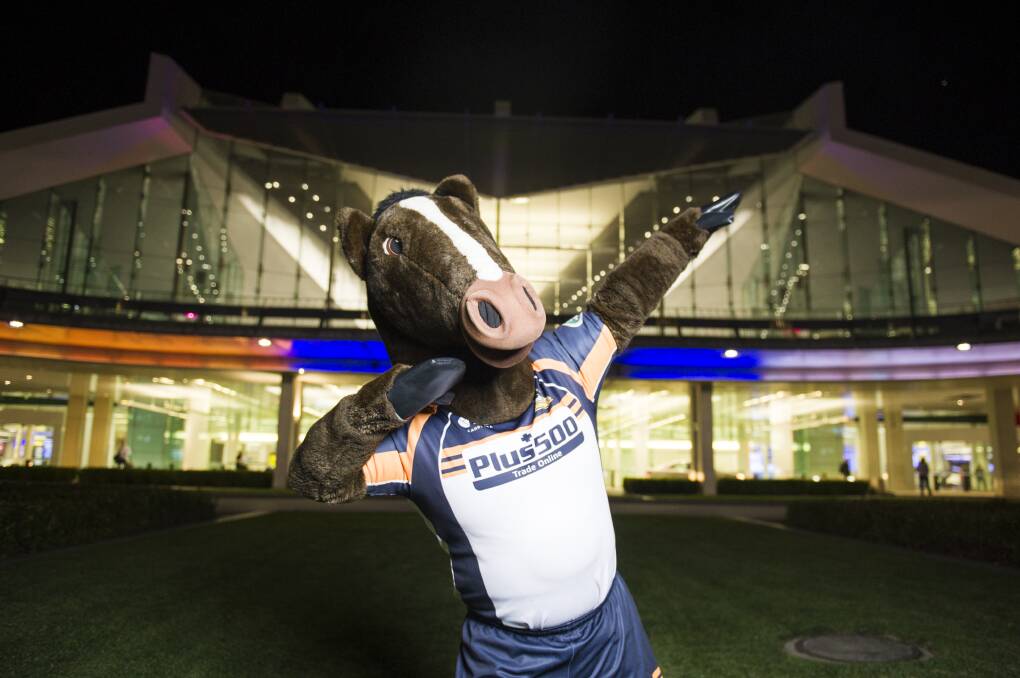 Brumby Jack celebrates Canberra Airport lit up in the Brumbies colours. Picture: Dion Georgopoulos),