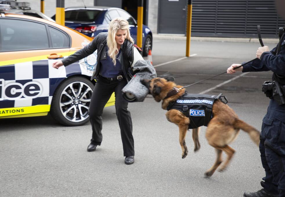 are police dogs trained to attack
