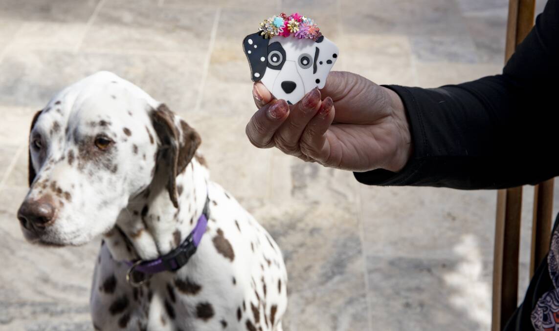 Pooch with a brooch. Kenny, the dalmatian, and matching brooch. Picture: Sitthixay Ditthavong