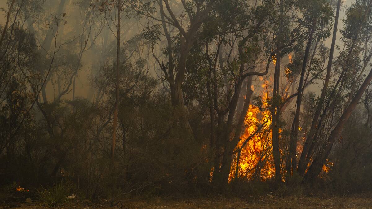Conditions will ease at South Coast fire grounds on the weekend. Picture: Dion Georgopoulos