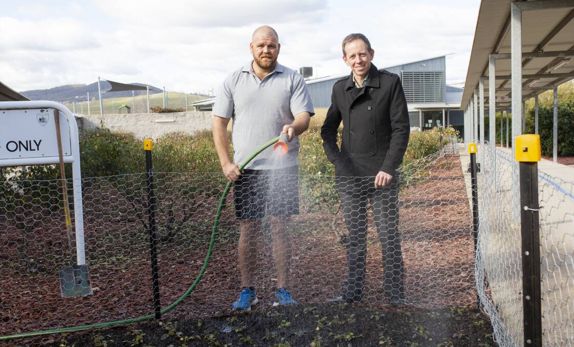 Alexander Maconochie Centre detainee Tom (left) and Corrections Minister Shane Rattenbury tend the Floriade bulbs at the Alexander Maconochie Centre. Picture: Jamila Toderas