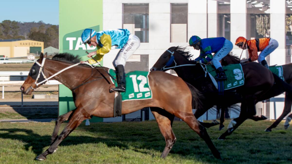 Away She Goes claimed the spoils in the Federal on Friday. Picture: Elesa Kurtz