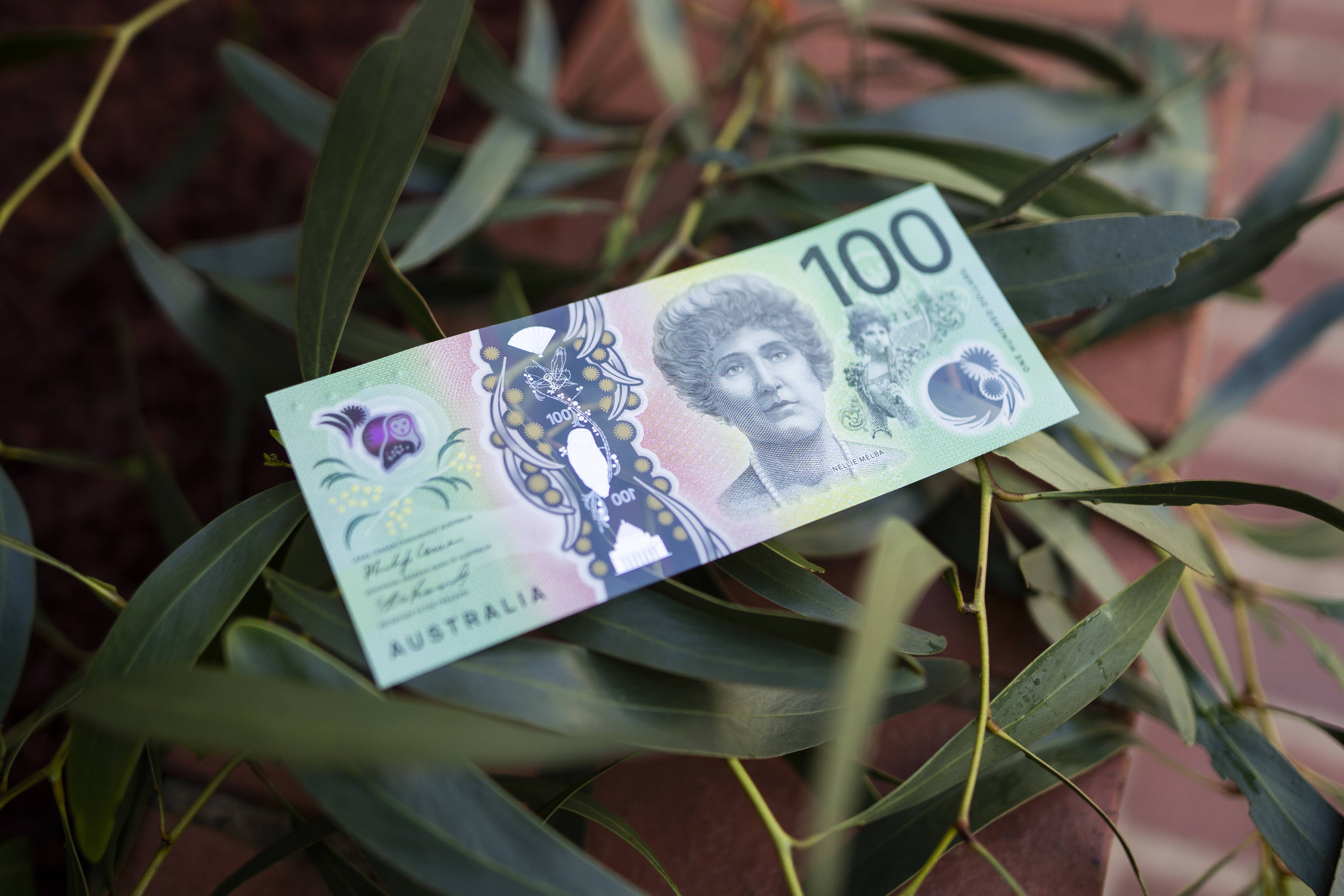 australian 100 dollar bill