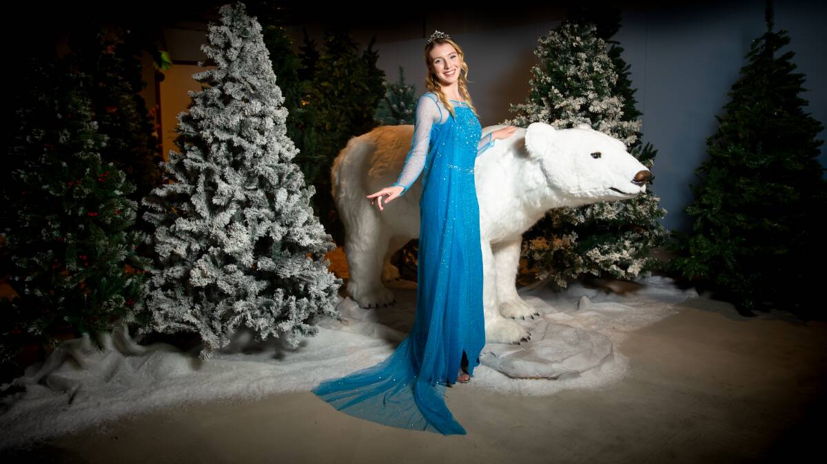 North Pole Lane princess Lily Welling with Mishka the polar bear. Picture by Elesa Kurtz