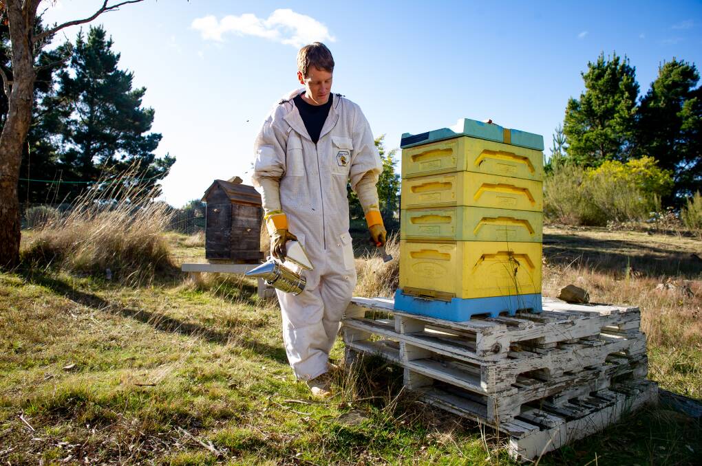 8 Frame Honey owner and beekeeper, Ben Merivale, runs beekeeping workshops at his Bywong. Picture by Elesa Kurtz