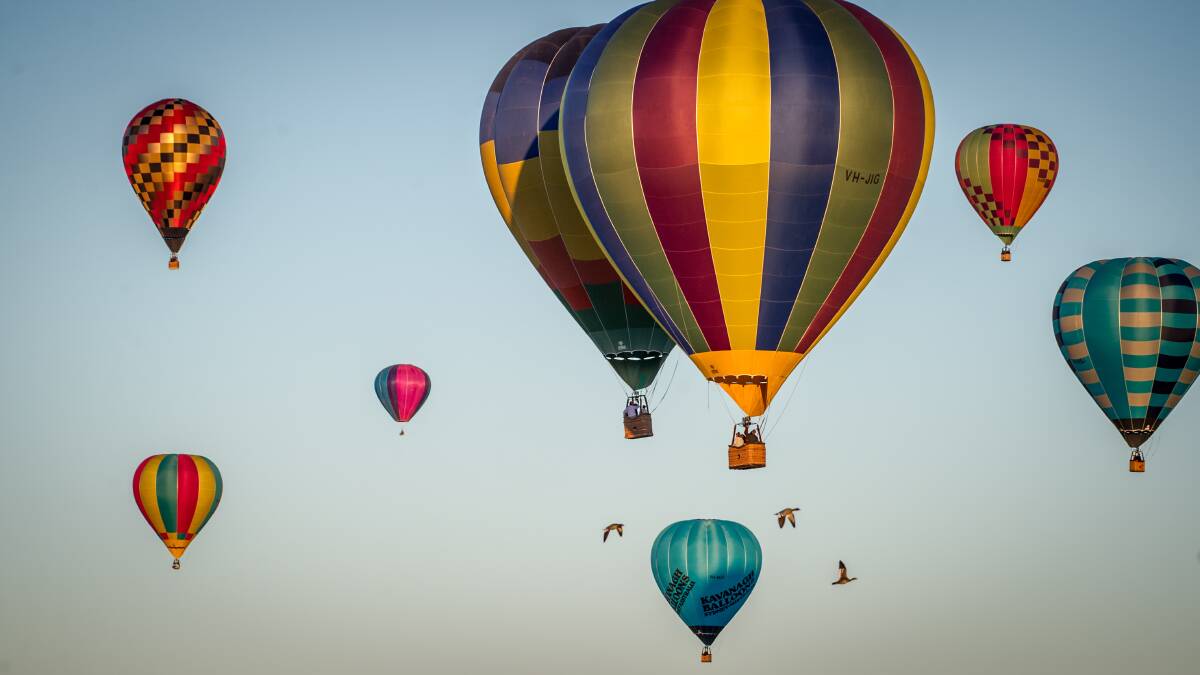 Canberra Balloon Spectacular is on from Saturday until March 17. Photo by Karleen Minney.