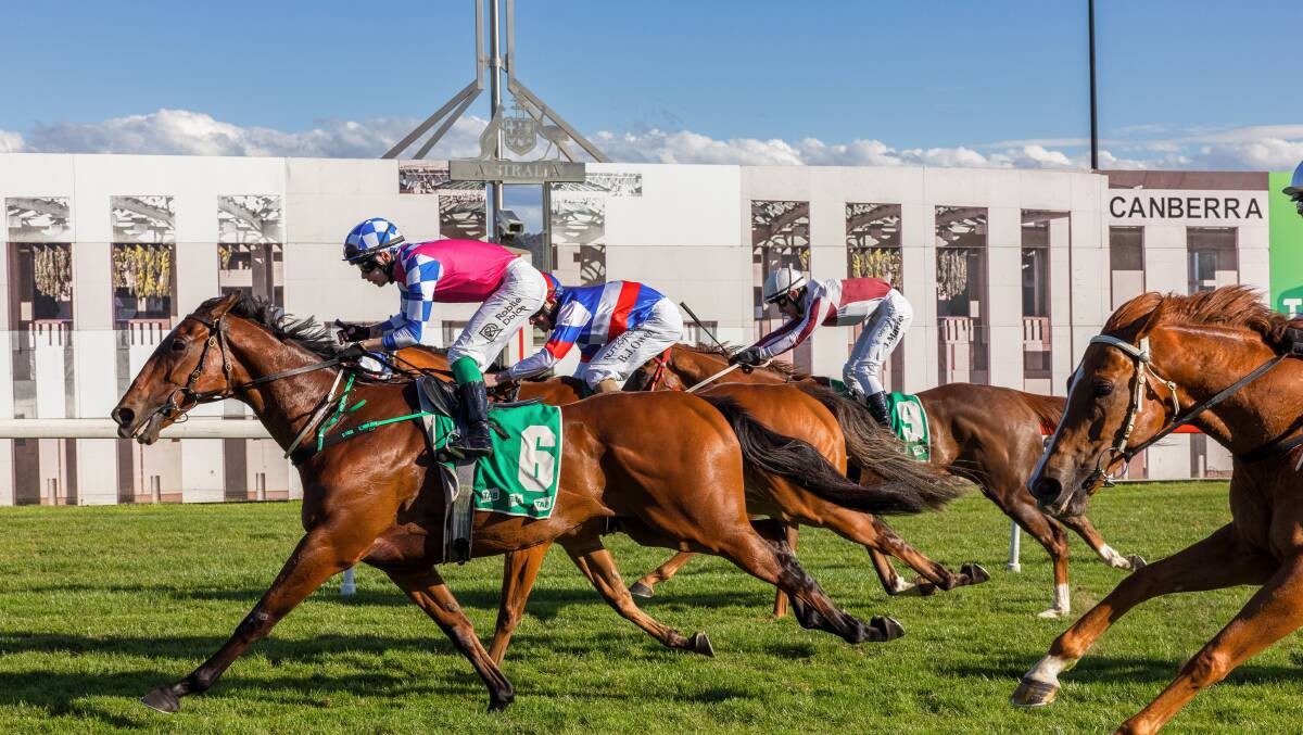 The Canberra Racing Club hopes to develop land around the racetrack. Picture by Sitthixay Ditthavong