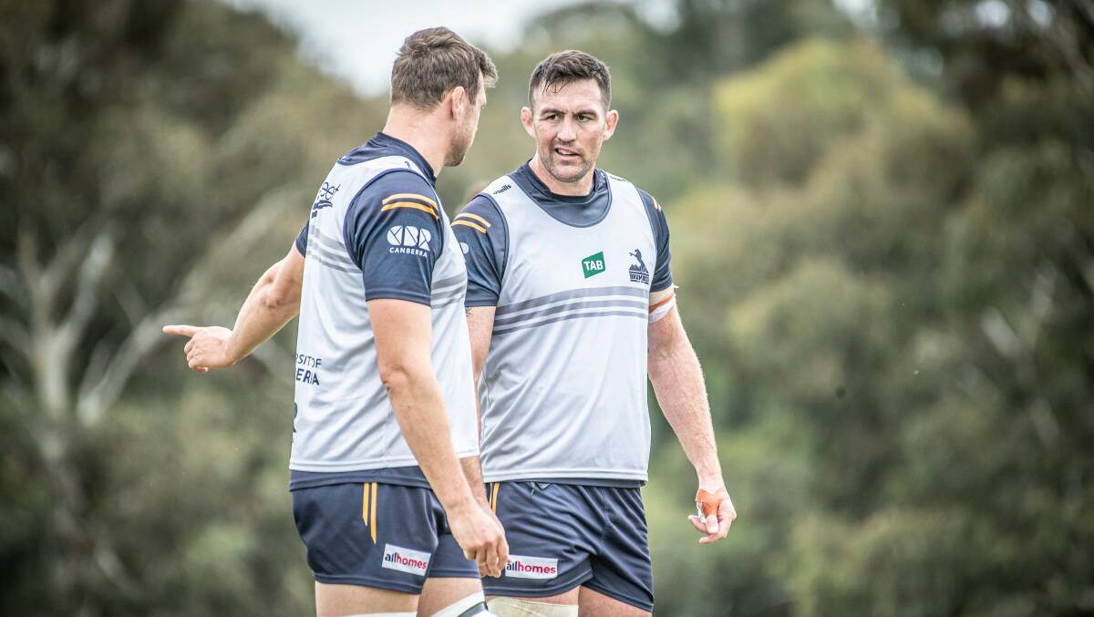 Cadeyrn Neville has added experience and physicality to the Brumbies' second row. Picture by Karleen Minney