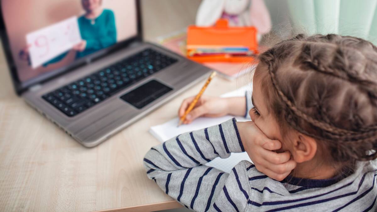 PIVOT: The latest NAPLAN results suggest online learning has not been the educational disaster many feared. Picture: Shutterstock