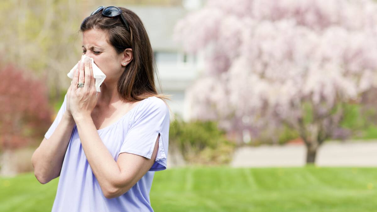 How are we already thinking about hay fever season? Lord, help me. Picture Shutterstock