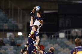The ACT Brumbies won through to a semi-final and not many people saw it. Picture by Keegan Carroll