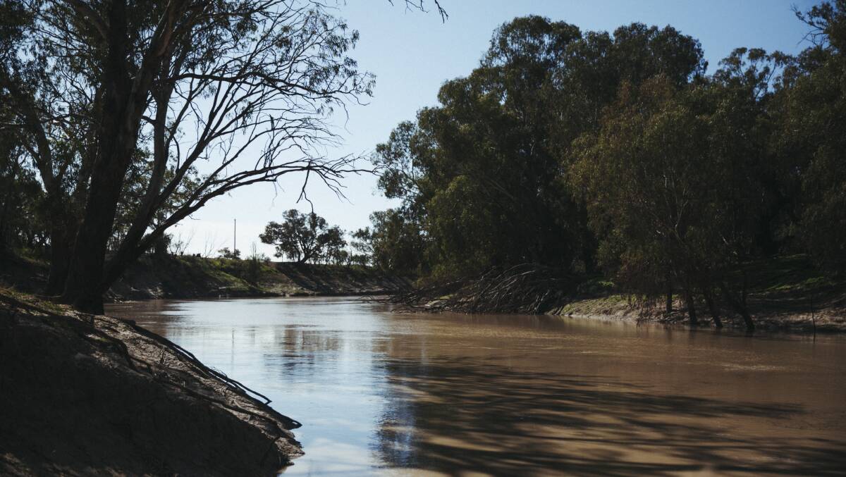 The Murray-Darling plan isn't about ending irrigated agriulture. Picture by Dion Georgopoulos