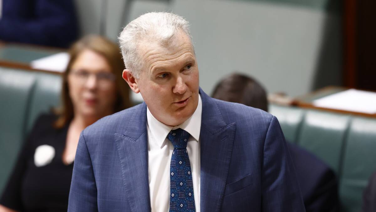 Workplace Relations Minister Tony Burke. Picture by Keegan Carroll