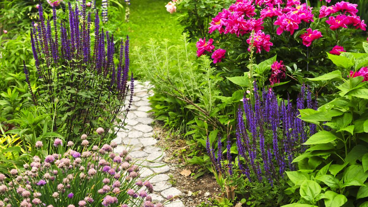 Paths can elevate the look and feel of your garden. Picture by Shutterstock