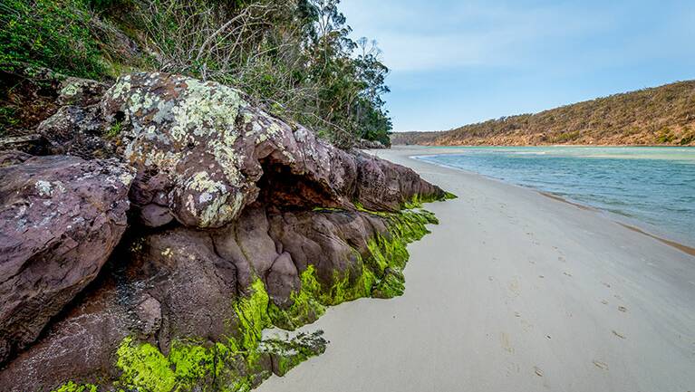FAR SOUTH COAST, Pambula River Walking Track: Located in Ben Boyd National Park, this easy walk (about 1.2km return) provides stunning views of the Pambula Rivermouth. Strong rips and currents may be present at this beach, NSW National Parks and Wildlife Services warns. 