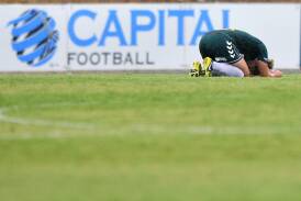 Capital Football said it would've made a small profit if it wasn't running Canberra United. Picture by Jeffrey Chan