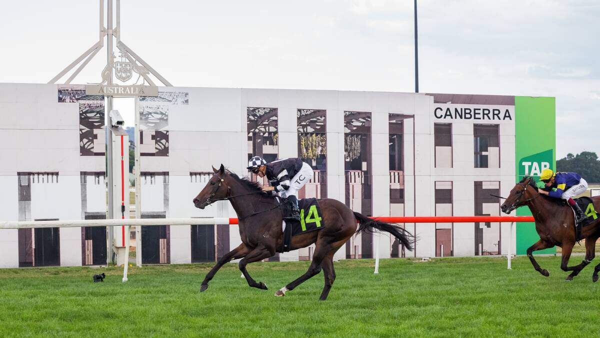Autumn Ballet cruises to victory in the 50th Black Opal. Picture by Sitthixay Ditthavong