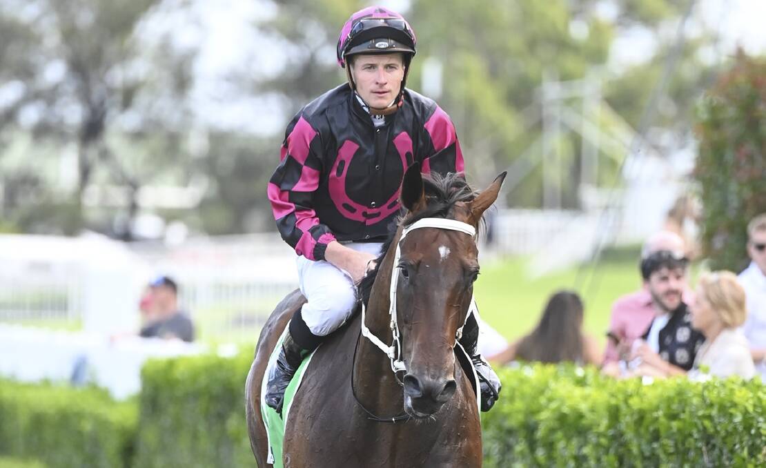 Our Kobison is tipped to win Race 9 - the SCHWEPPES HANDICAP - at Rosehill on Saturday. Picture Bradley Photos