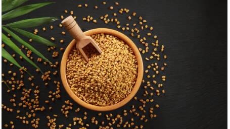 Fenugreek has been revered for millennia for its medicinal and nutritional value. Picture supplied