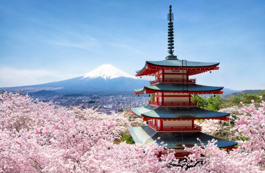 Mount Fuji during the cherry blossom season in Japan. Picture supplied.