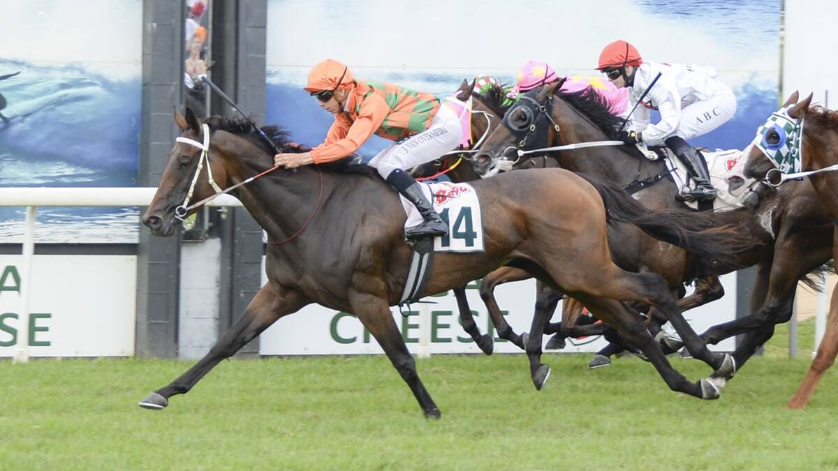 Bega Cup victor Winning Point is one of the strong contenders in Race 1 - The Agency Real Estate Handicap (1550 metres) at Kensington. Picture Bradley Photo