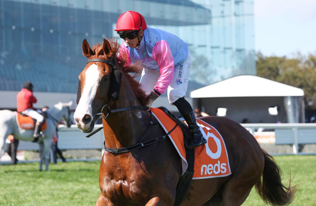 Dean Holland aboard Just Folk before the running of the 2022 C.F. Orr Stakes at Caulfield. Picture by Racing Photos