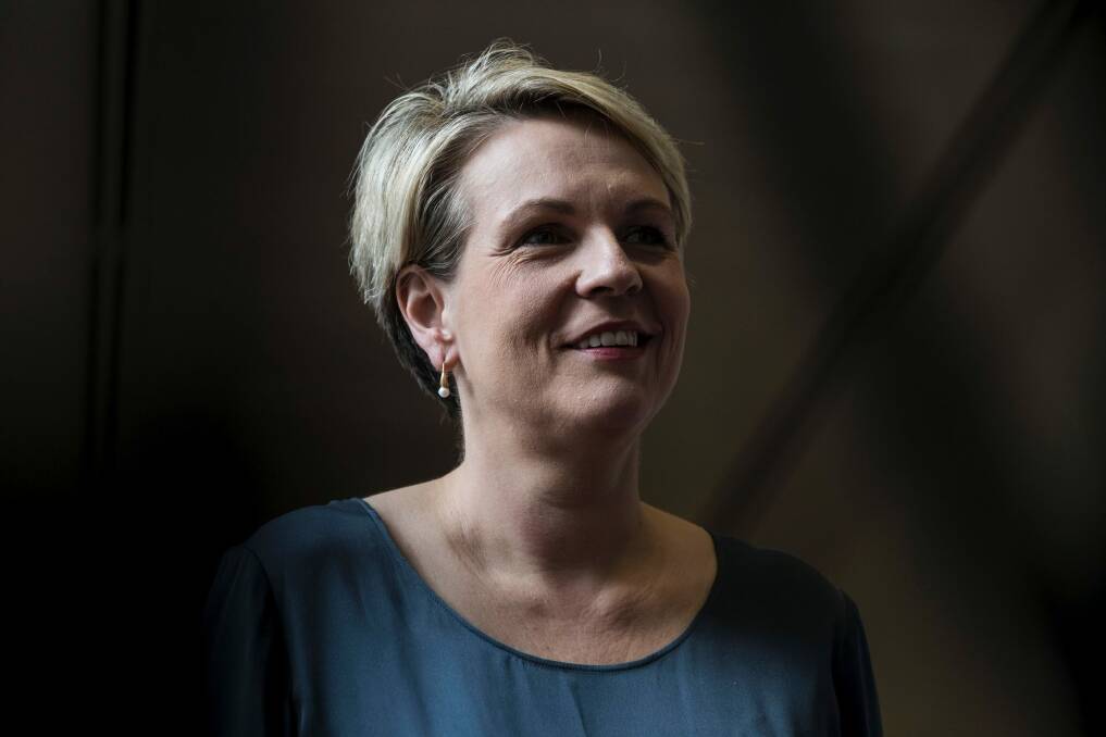 Labor's spokesperson for women, Tanya Plibersek, will release a national strategy for women's reproductive health on Wednesday.  Photo: Dominic Lorrimer