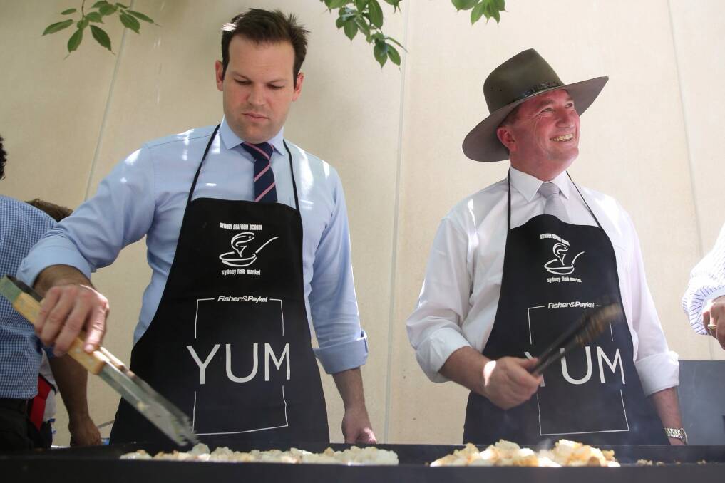 Facing citizenship challenges: Matthew Canavan and Barnaby Joyce.  Photo: Andrew Meares