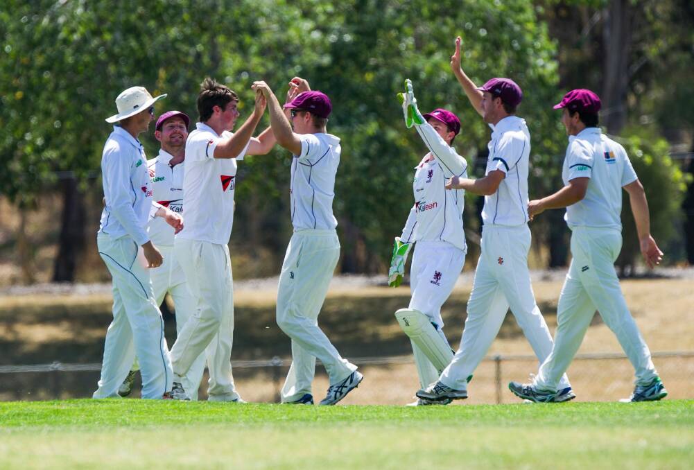 Wests-UC celebrate a wicket against Queanbeyan. Photo: Elesa Kurtz