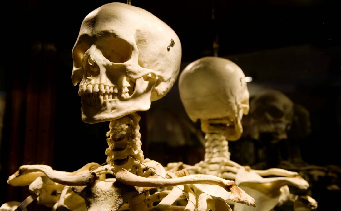 The skeleton can provide information about an individual’s ancestry, sex, age and stature.