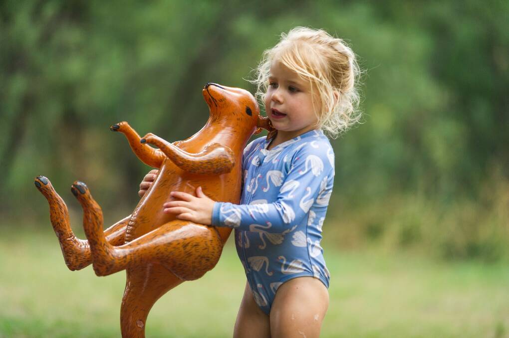 Lucy Fahey 3 with her kangaroo at Pine Island on Australia Day. Photo: Dion Georgopoulos