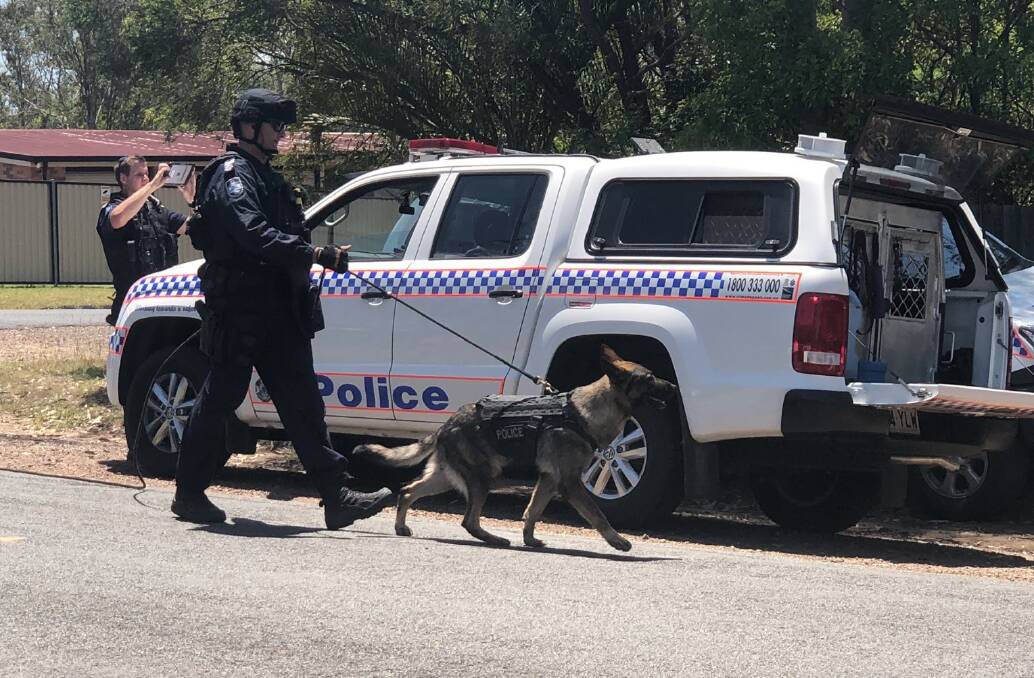 The dog squad helped to find the boys in nearby bushland and take them into custody. (File image) Photo: Harry Clarke - Nine News Queensland