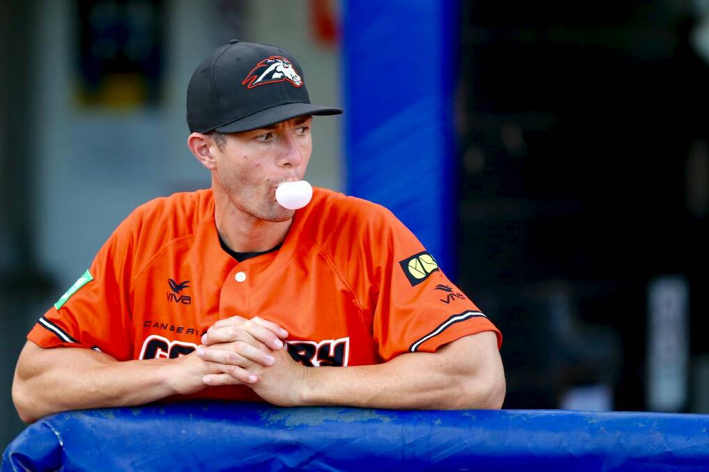 Canberra Cavalry manager Michael Collins. Photo: Joe Vella SMP Images / ABL Media Photo: SMP Images