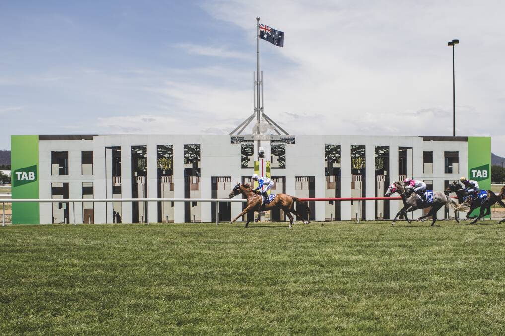Canberra Racing will make a final decision on a potential master plan to redevelop part of their site until the end of October. Photo:  Jamila Toderas