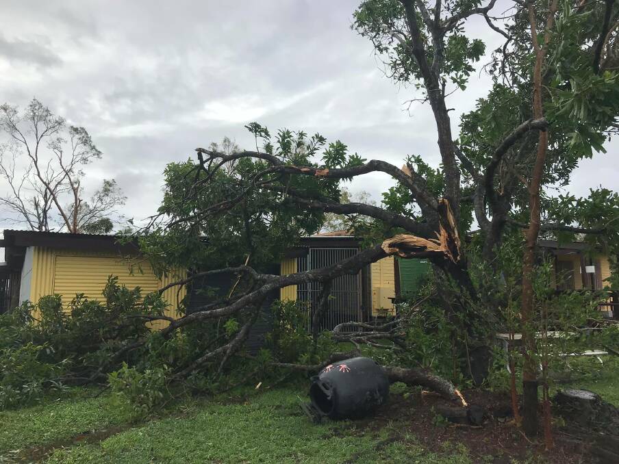 Trees were also uprooted and snapped. Photo: Facebook - Lockhart River Arts Indigenous Corporation