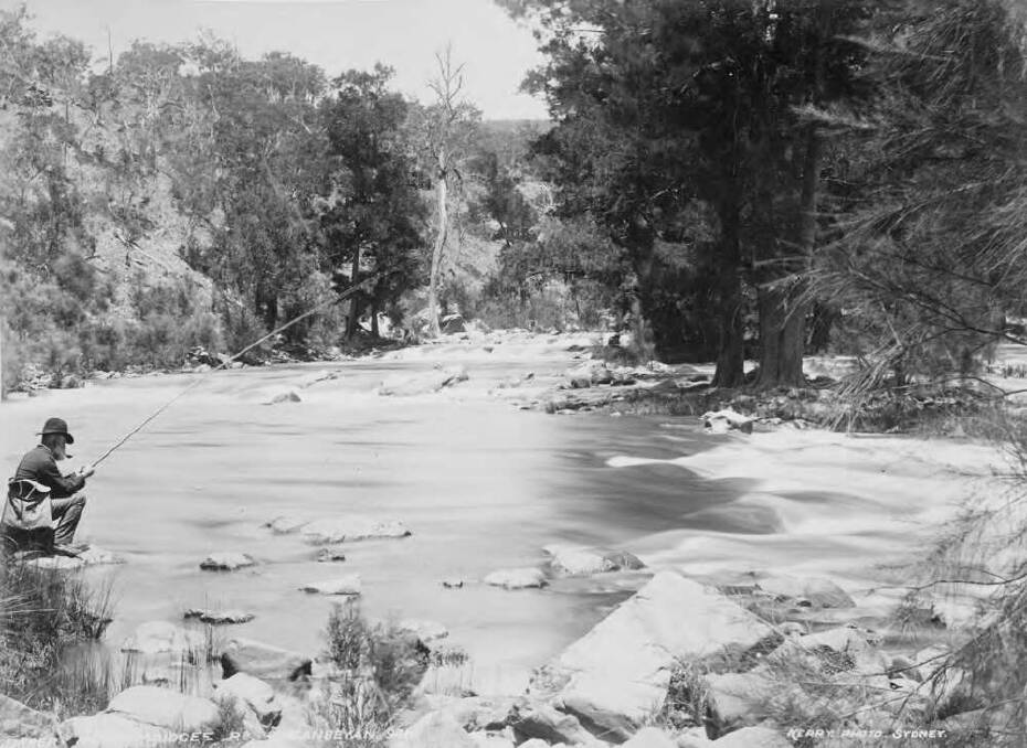 Can you identify this mystery spot on the Murrumbidgee River where John Gale was fishing in 1900? (Photo by Charles H Kerry and courtesy National Library of Australia (object#:137979427) Photo: NLA