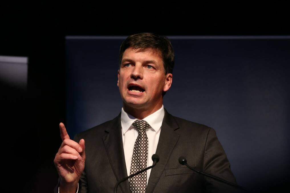 One stop shop: Assistant Minister for Digital Transformation Angus Taylor.  Photo: Louise Kennerley