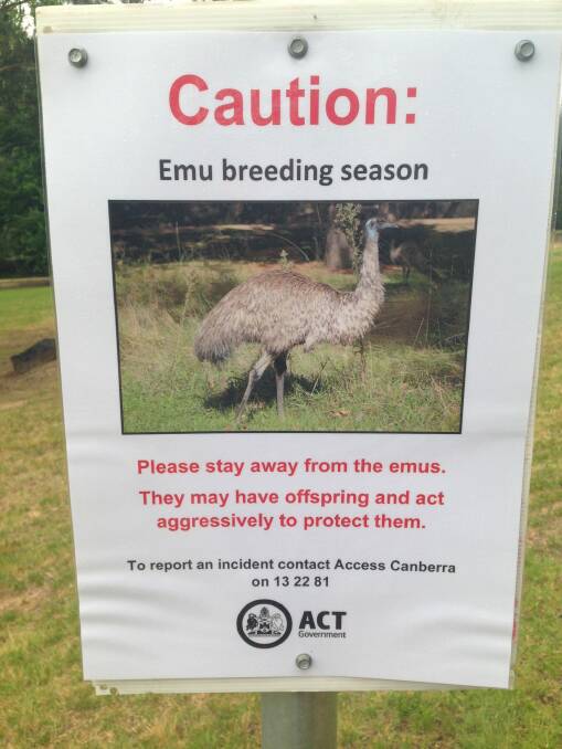 A warning sign about emus at the Cotter. Photo: Supplied