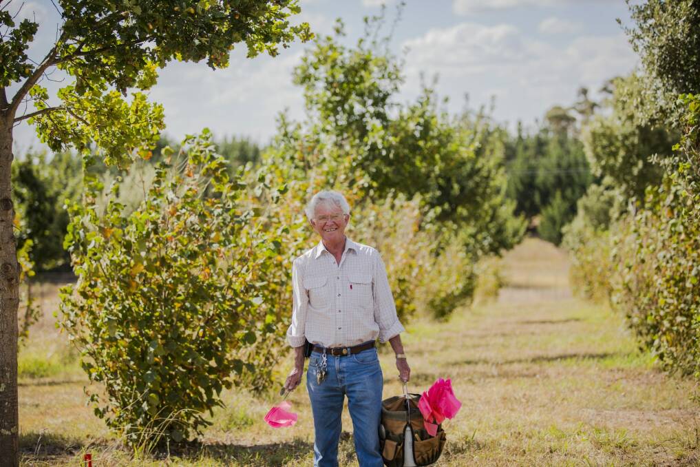 Wayne Haslam, owner of Bluefrog Truffles, is organising a national truffle growers' conference in Queanbeyan later this year.  Photo: Jamila Toderas