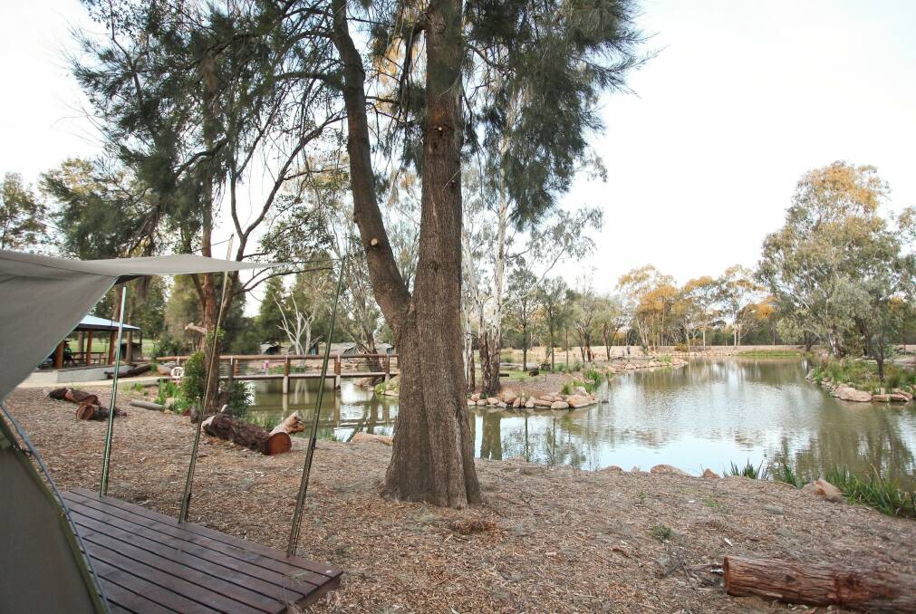 Have a wild time: Western Plains Zoo has invested greatly in the accommodation options available at the zoo itself- including the Billabong camp and the Zoofari lodge. 